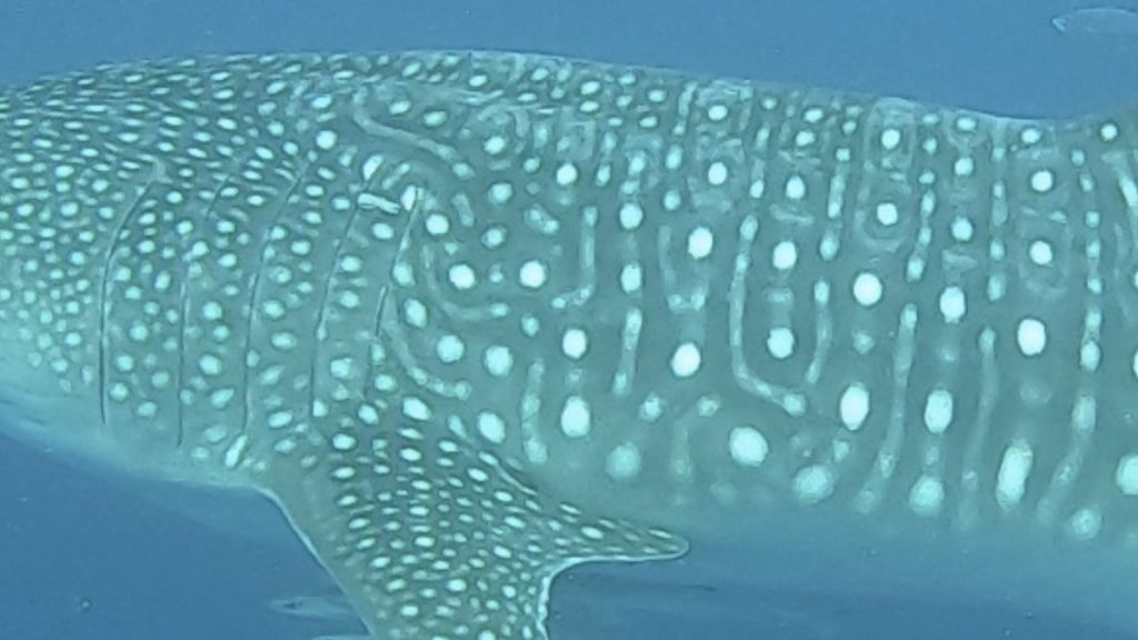 e8f6229b-65ae-4657-a10b-0905bbbb5f1f