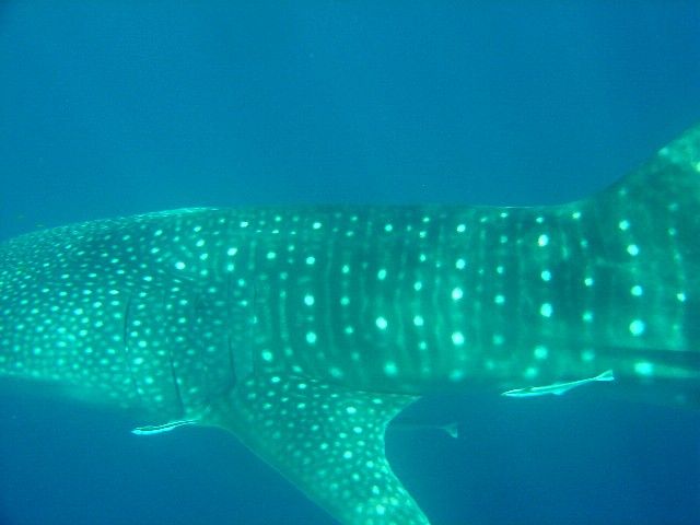 b7be6e71-7b3b-4198-8788-14ac3ee69c75