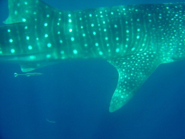 b7be6e71-7b3b-4198-8788-14ac3ee69c75