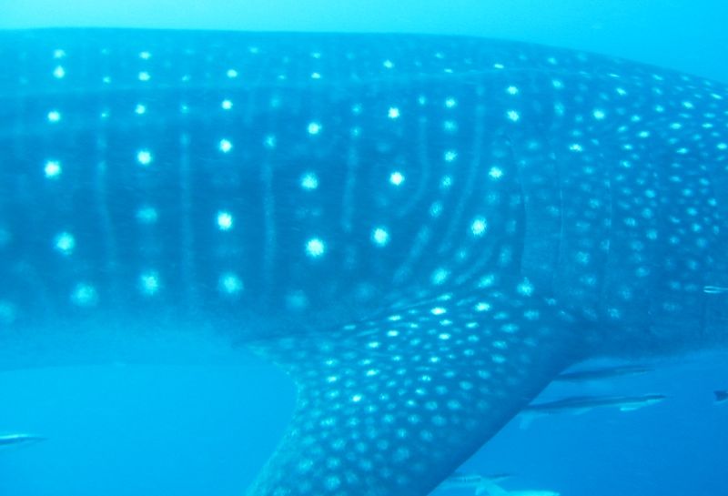 572c3066-6d56-4e32-a0a4-e8a37c9d875a