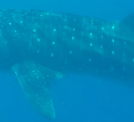 ab917e40-d76b-432d-8de7-1343b056a09d