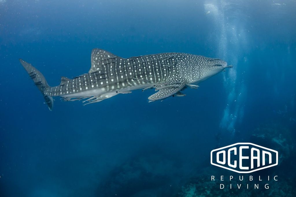 d0b934ce-fa08-4de7-86be-aadc8b7903d4