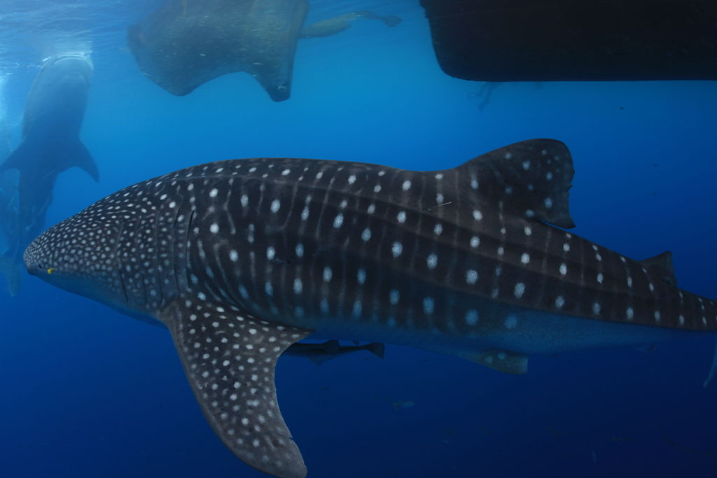 3b93fd6c-3dc7-45ea-aaad-5ede35d3b186