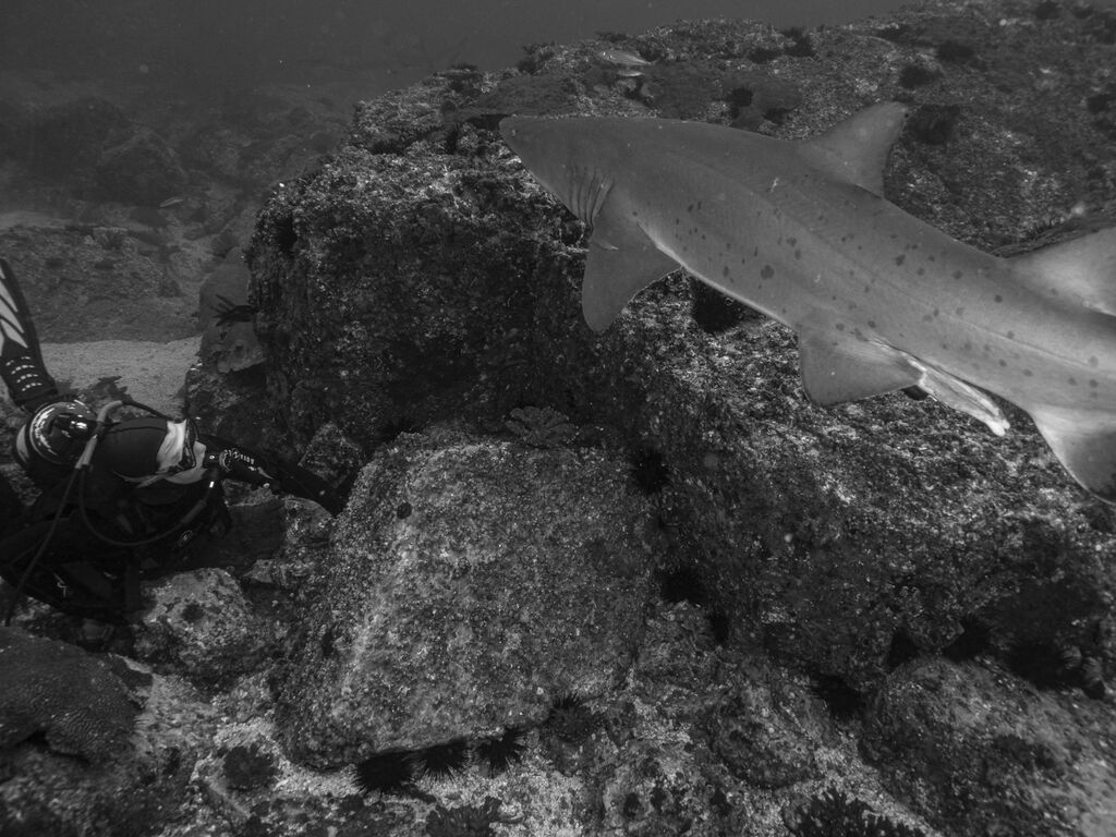 d8b7e2d1-3e5b-4905-8e48-0cbbb9e02a9e