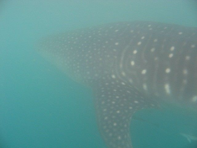 948a8410-b466-45cd-a20b-7ddb6aabf779