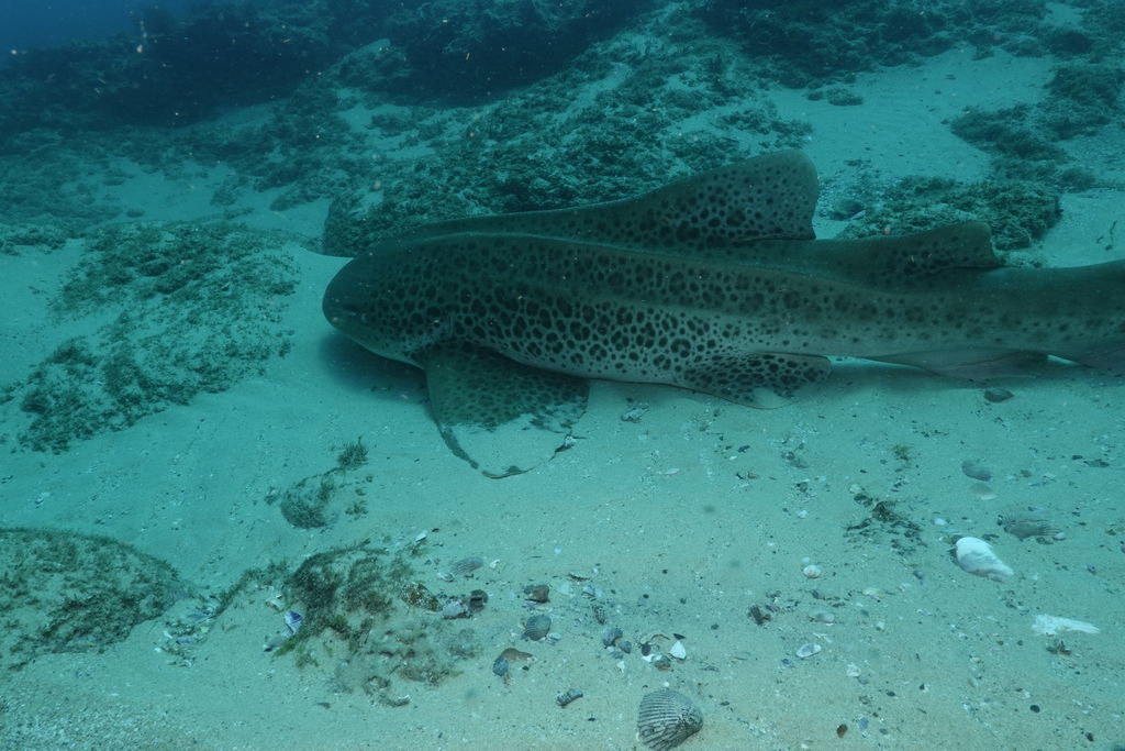 49cd503f-0e33-4cce-95bc-736a3ffdfdd8