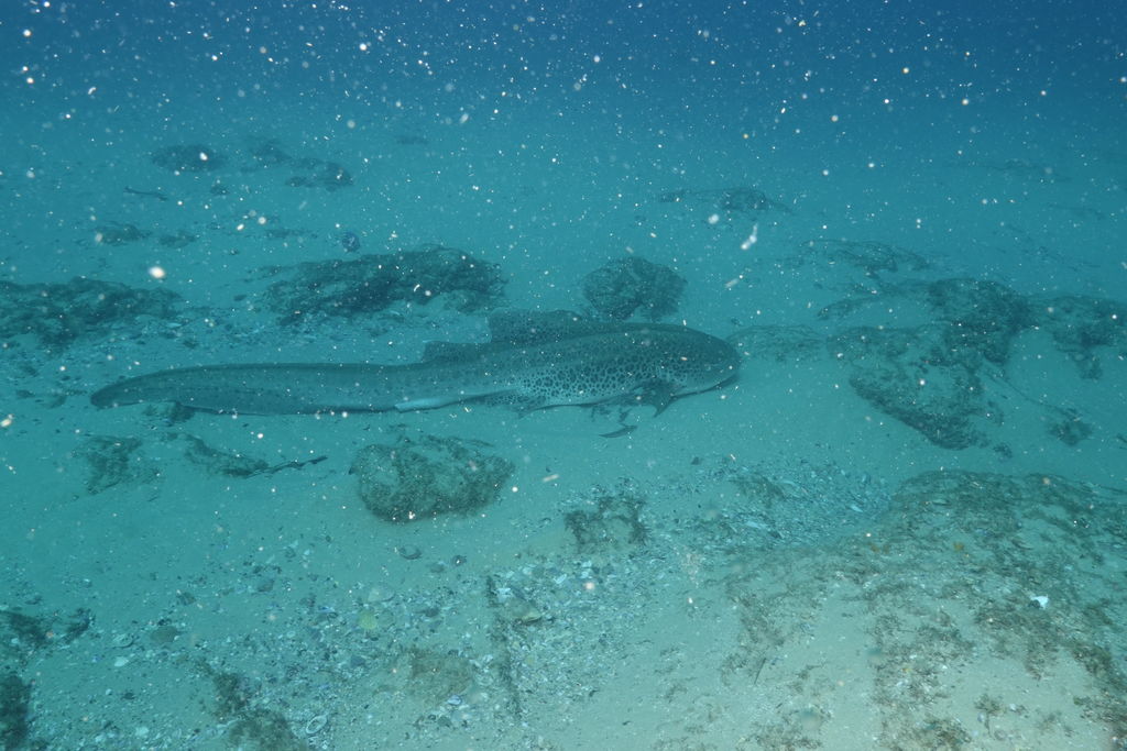 49cd503f-0e33-4cce-95bc-736a3ffdfdd8