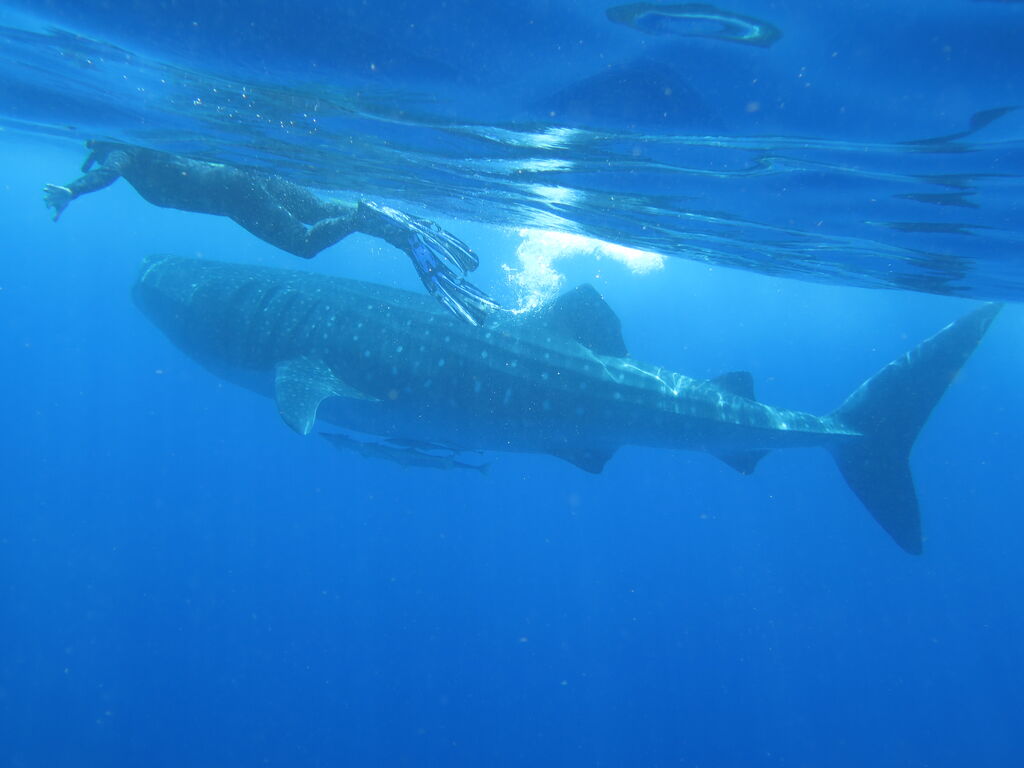 10b9e271-d7ac-441d-b559-05777d1b85ae