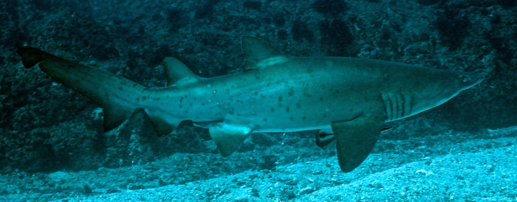 8351e241-0967-441b-afba-cd178ebd0253