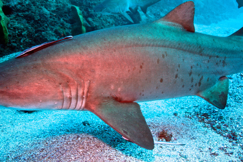 da65837d-9e58-48cb-8798-1e929dc6b084