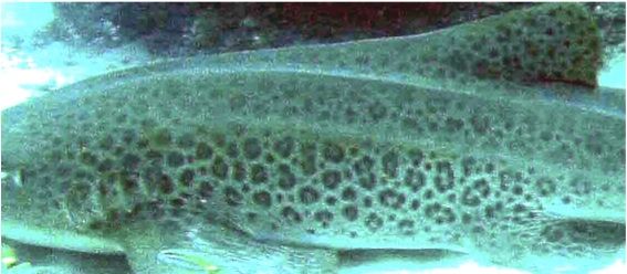 0df10ea0-0132-4933-8d43-f7fec24835c4