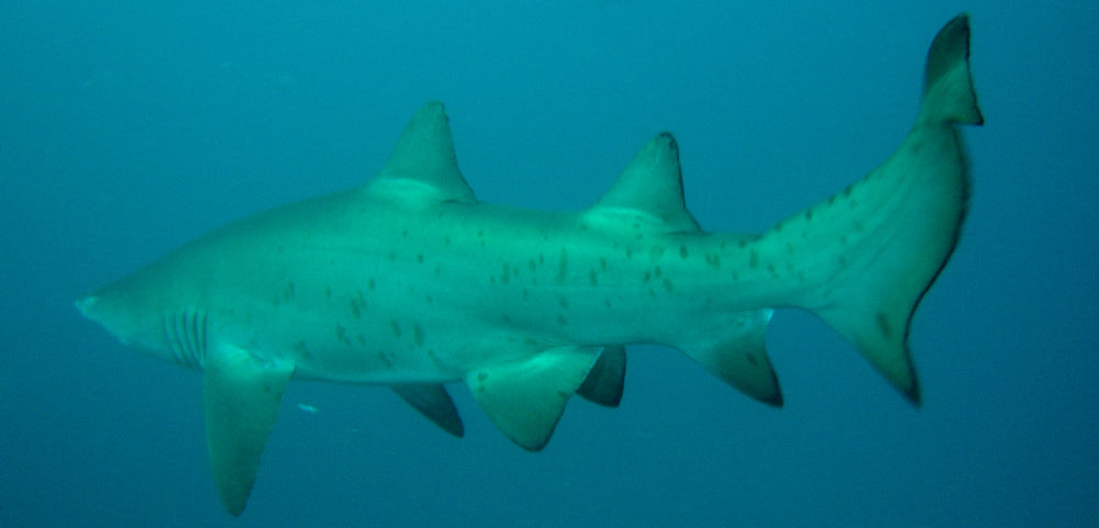 b669e0c9-b40f-492a-acda-3b3026f876b9