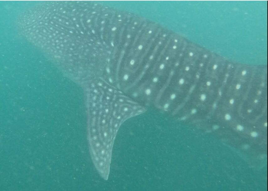 e8ac1942-af05-4ce7-87ba-1cff3e737f03