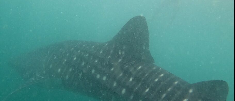 e8ac1942-af05-4ce7-87ba-1cff3e737f03