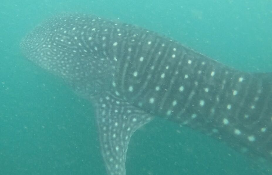 e8ac1942-af05-4ce7-87ba-1cff3e737f03