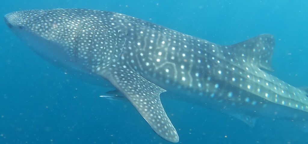 d3da3c36-7158-4249-977a-f27c2405115c