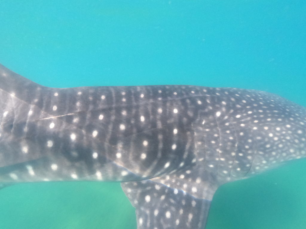 5dd283a4-b025-4b58-a210-67b868a82490