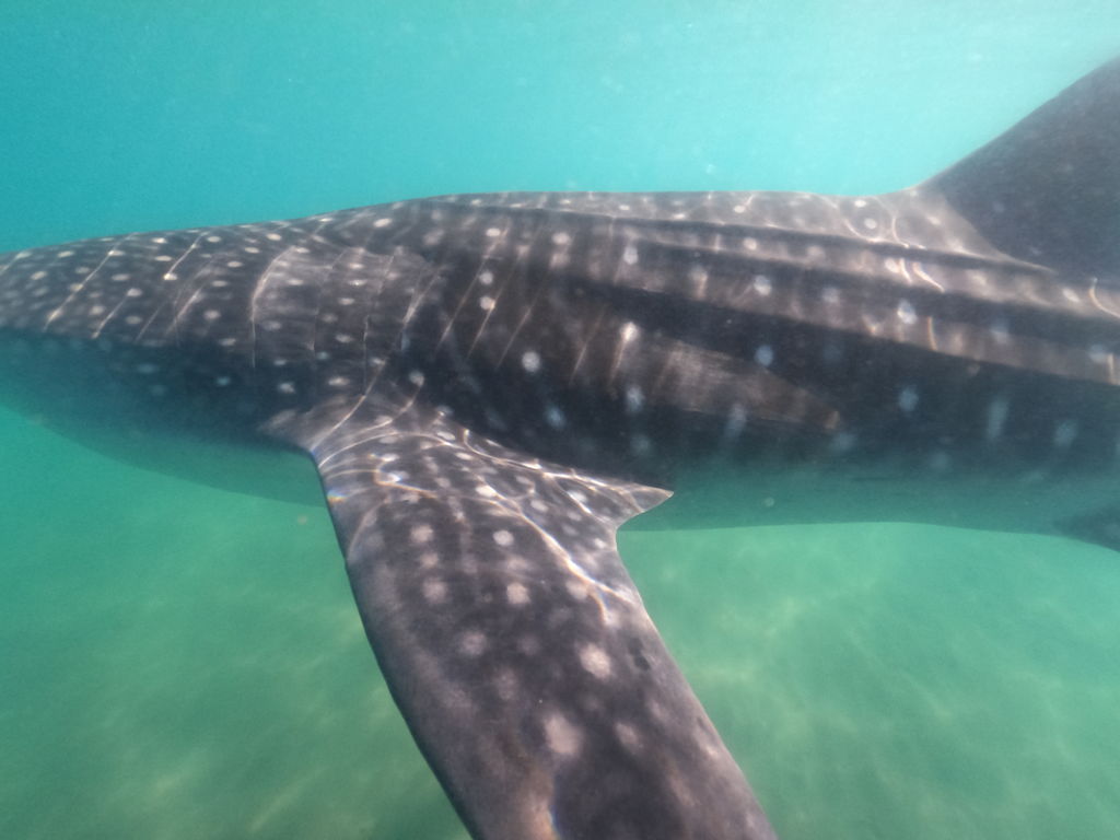 5dd283a4-b025-4b58-a210-67b868a82490