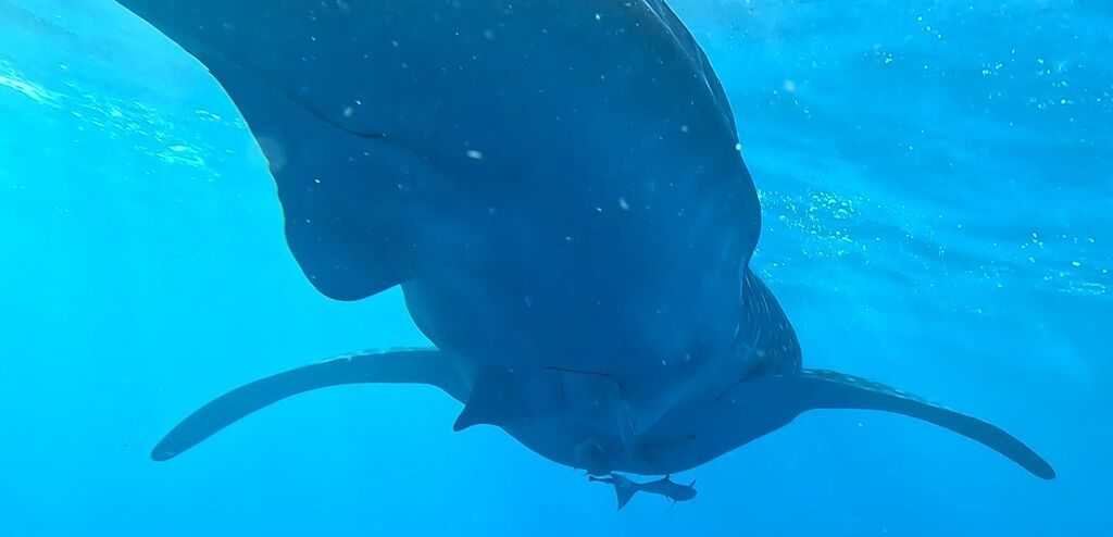 007a2172-a617-48fe-acd0-49b6ecc0b078