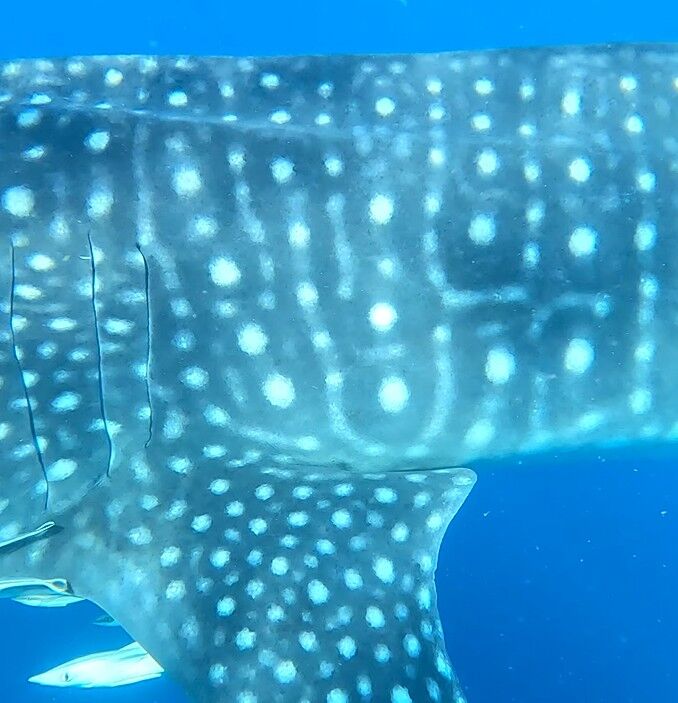 007a2172-a617-48fe-acd0-49b6ecc0b078