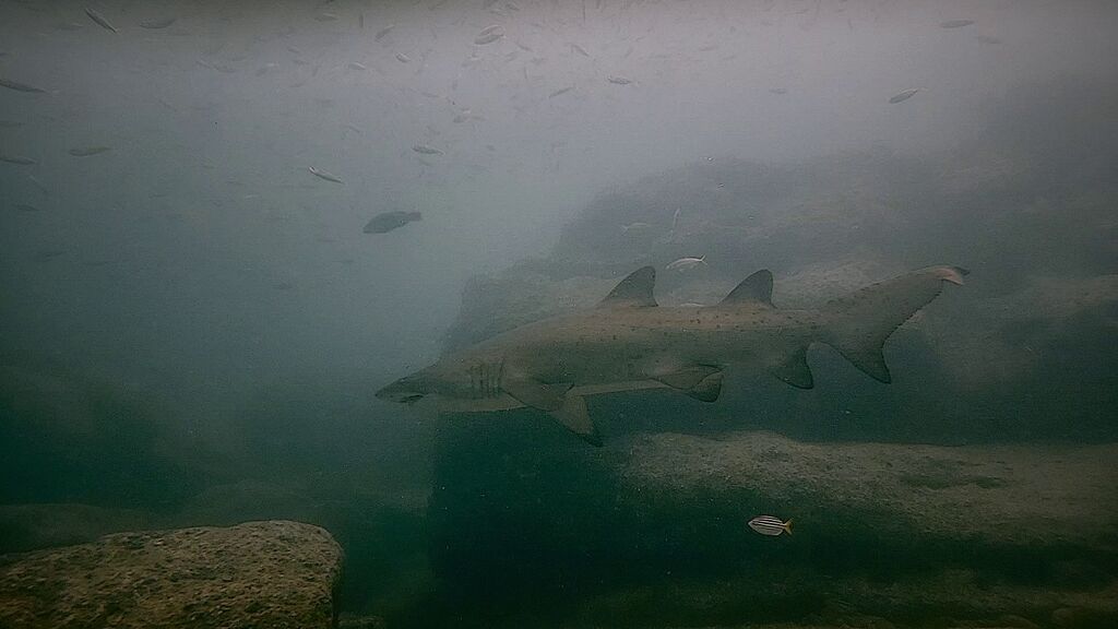 331ea0ad-4680-4daf-9a36-469f39e81e03