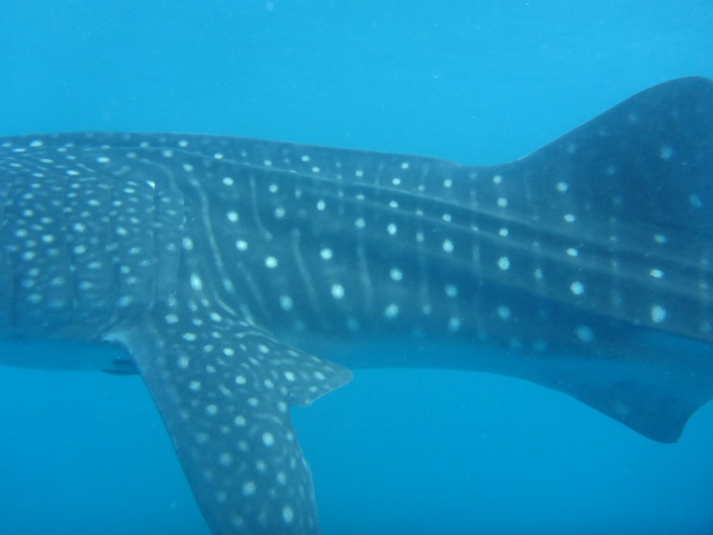 017a9fb6-bb2c-4353-aa4d-626c42c61671