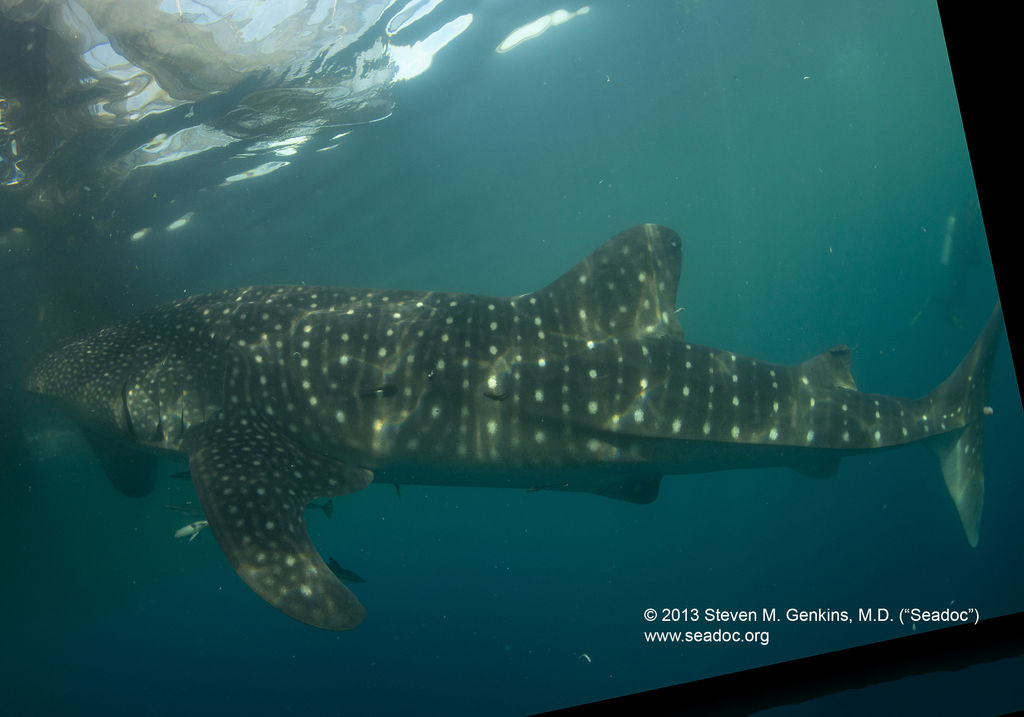 a6209864-a74a-4f70-aacc-72ffc9ec652d