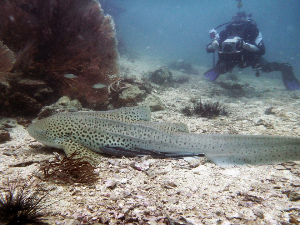 e5d60cfa-83c2-437f-ad24-eca3a9c9915f