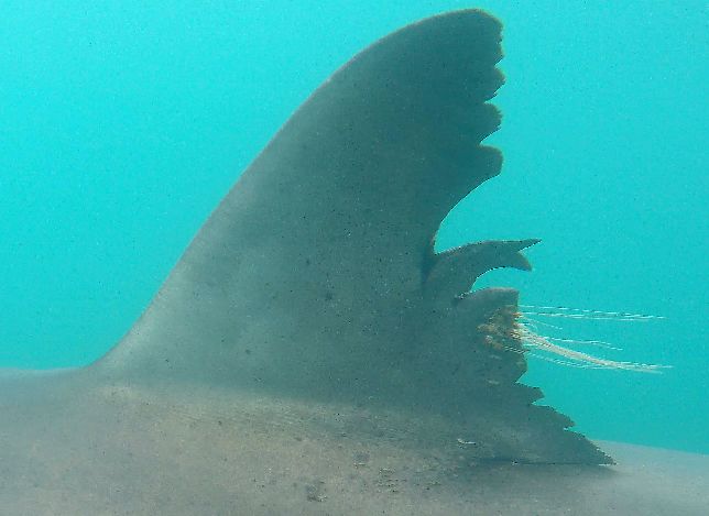 77840e4e-a120-4df6-997c-53c191c86fa8