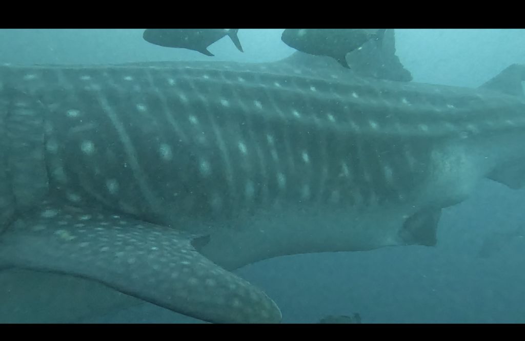 366cb017-7186-4600-b11b-6fc3ef34828e