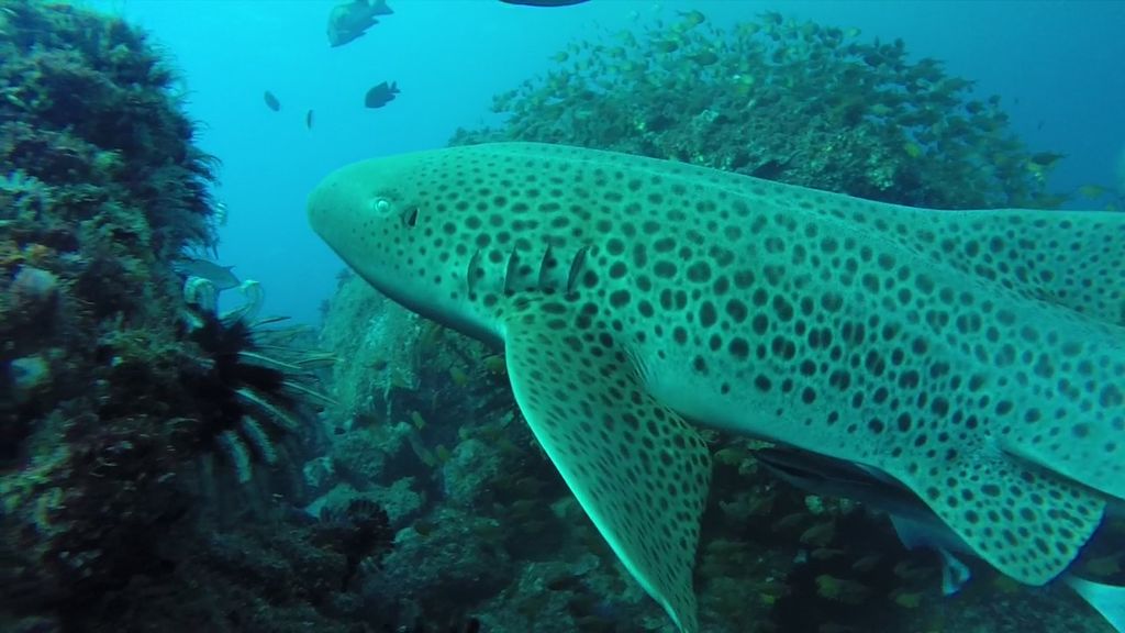 b5f15f28-d230-4aae-85e2-a727987173dc