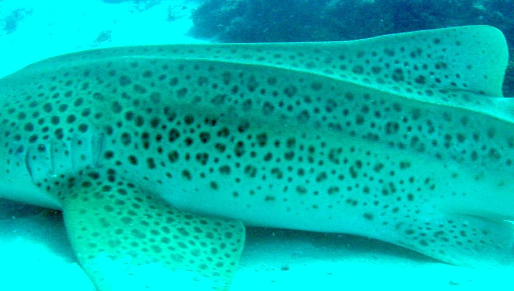 6ea09f37-5e64-40ec-b651-61a9cd1df5cf