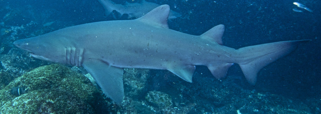 98ea9da4-b02e-4c3f-b858-2b3eddf6b156