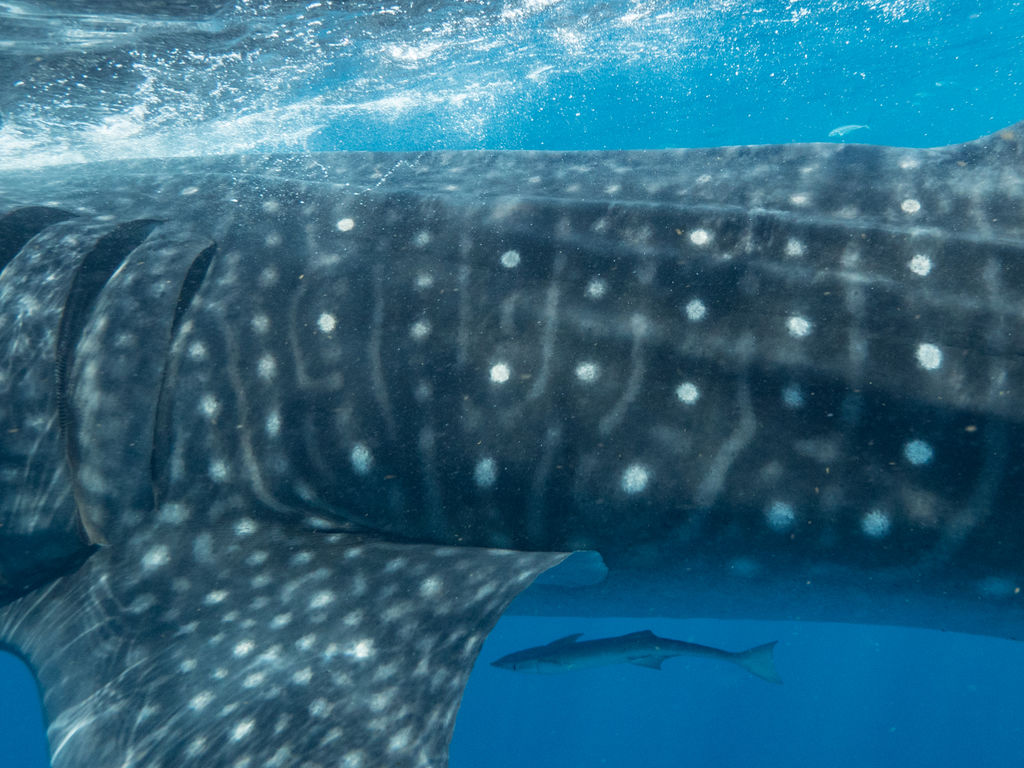 b8a28f9e-923b-4c2b-930d-2a2513a07c69