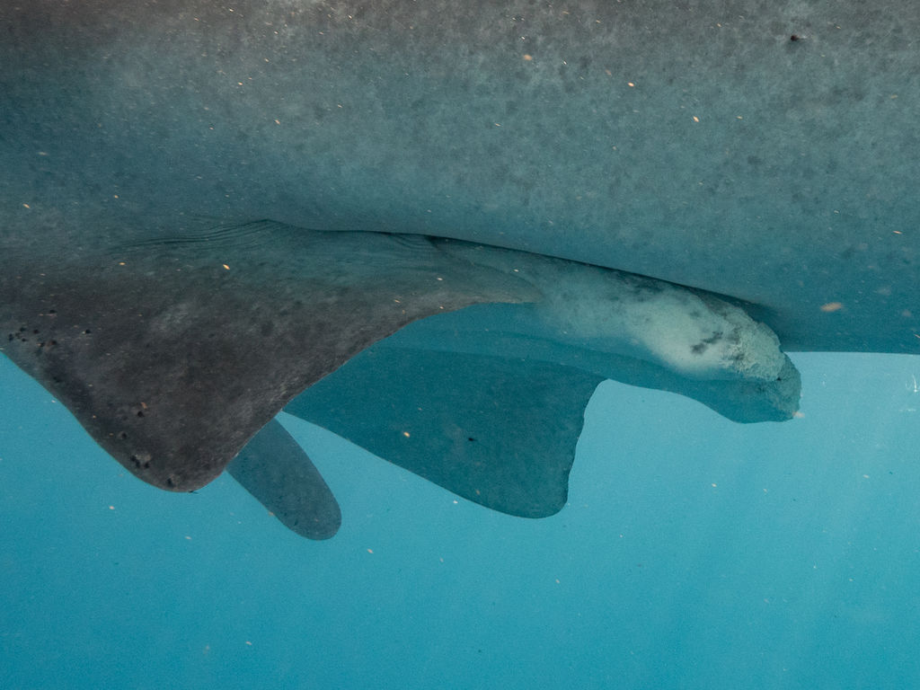 b8a28f9e-923b-4c2b-930d-2a2513a07c69