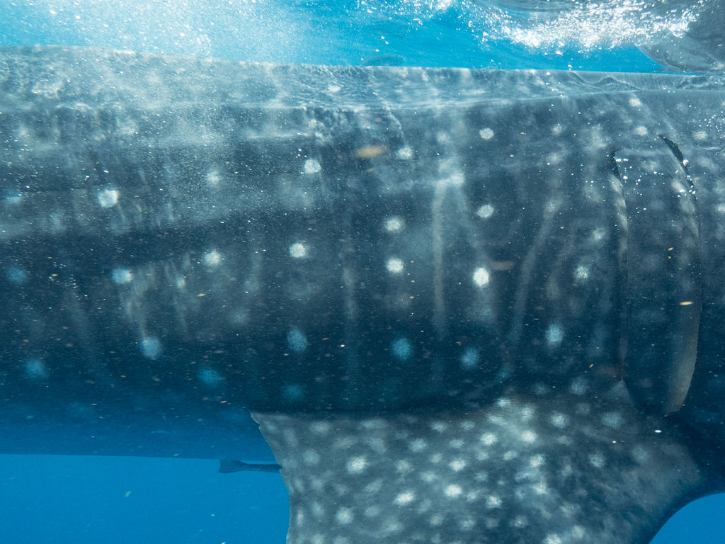 b8a28f9e-923b-4c2b-930d-2a2513a07c69