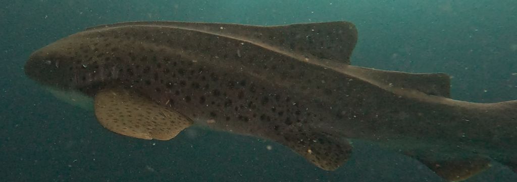 c9420929-3b19-43ae-b547-5540040499ed