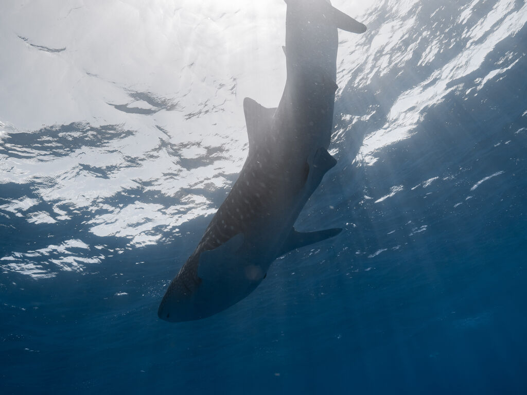 af24b216-4fd2-4f95-bf76-7d575d3b51f7