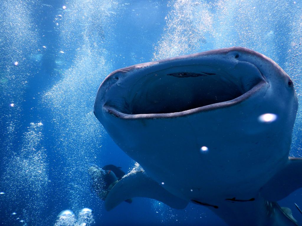 8ed059d5-294e-4a71-95ad-38a7fb28935b