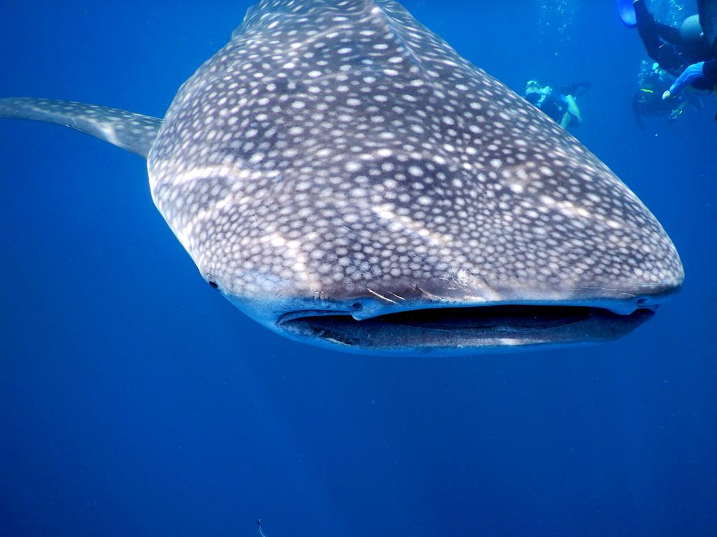 8ed059d5-294e-4a71-95ad-38a7fb28935b