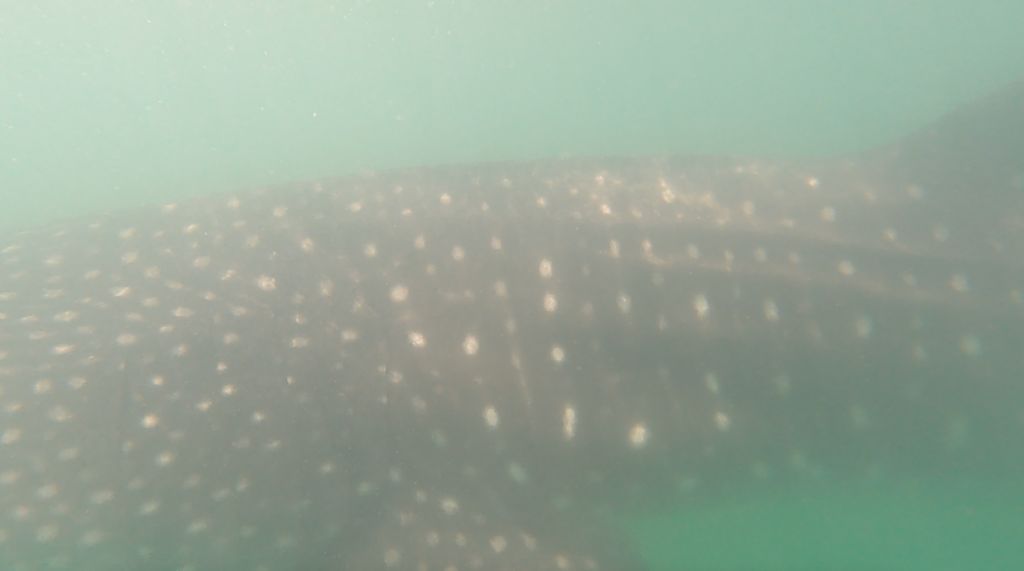 5e144b11-30c3-4f20-b7db-1d32e991afb1