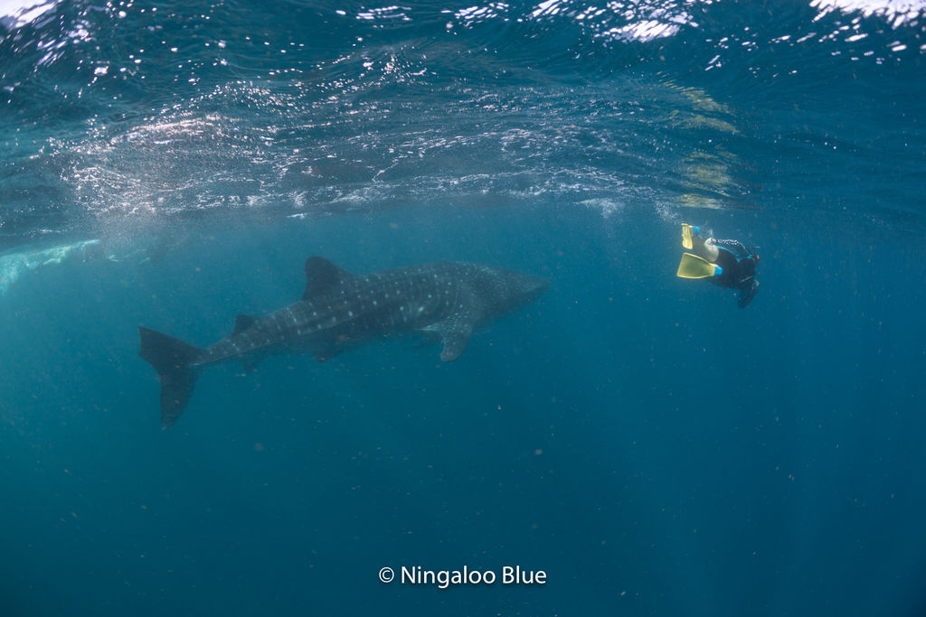 92eff3f7-ff19-4b74-af6c-c7b3f2650b27