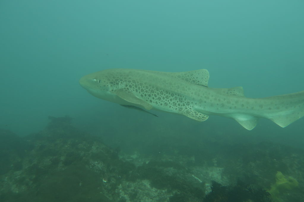 b5449b48-6042-4655-a1b7-74cb8280e2a5