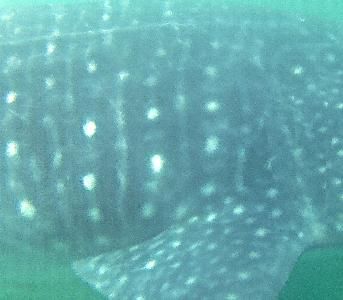 13fa1165-14e9-49b3-8a97-56ff13571ddb