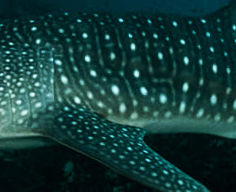 9e5ac123-d0a4-476e-9fa3-24e033610c35