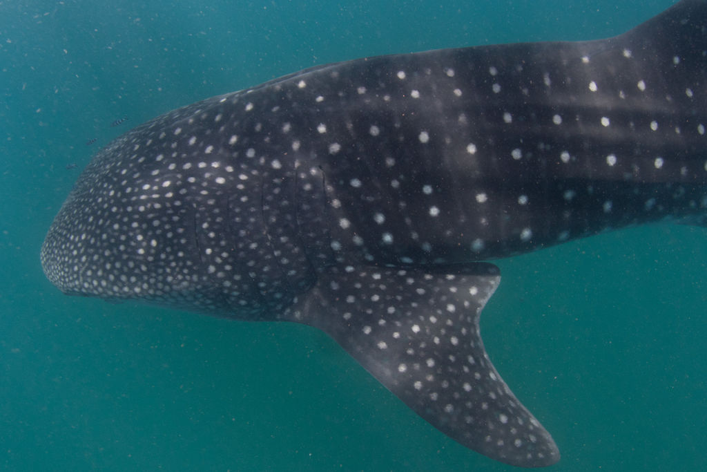 83ab8e3e-141e-461a-80d9-1c6b5503d291