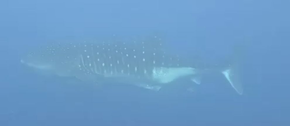 c21e8180-cbd8-4bef-b9ce-15cb30fb72f9