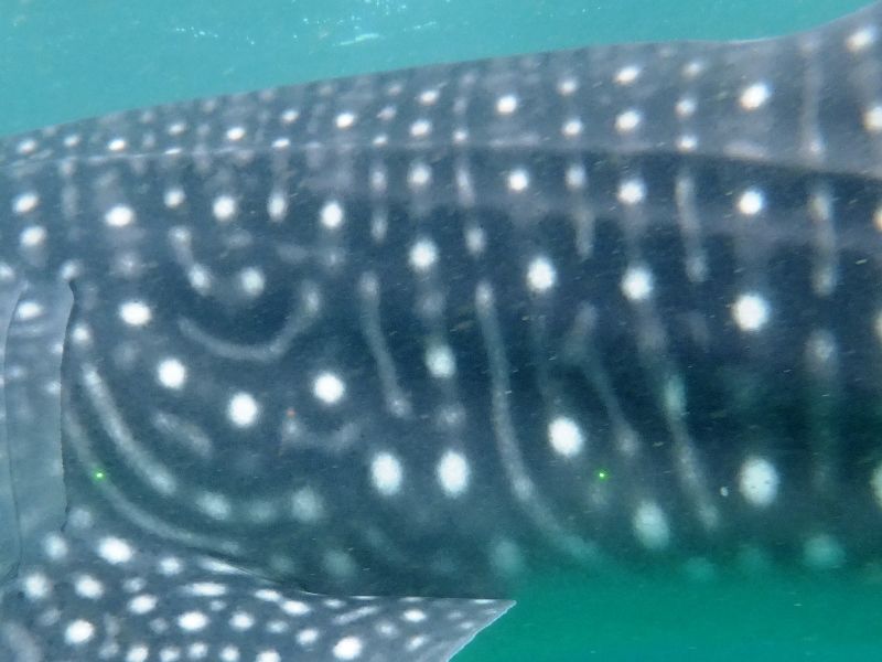 dccc5ac3-7da5-4cc5-a53a-f8f0f1345831