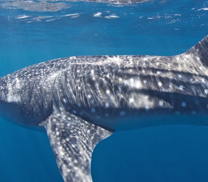 87a52f69-d3f0-47bd-ab34-56727b60e9dc