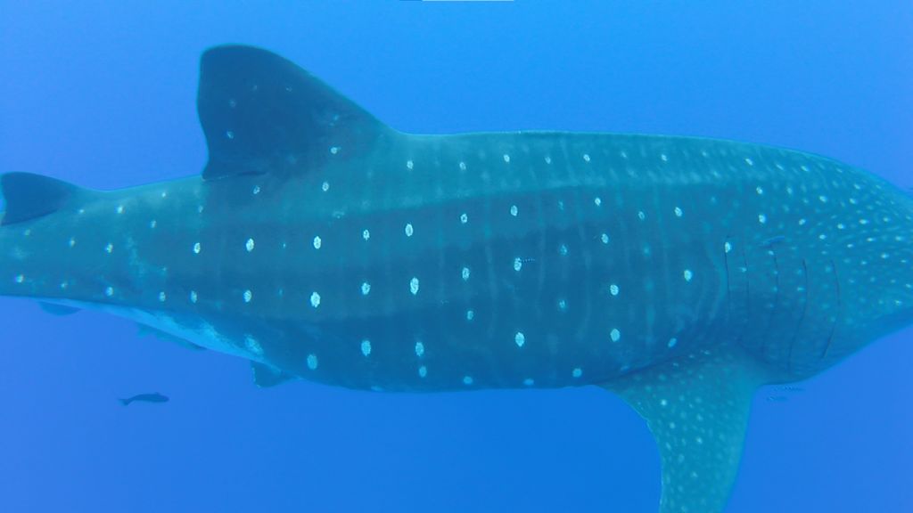 3795bc2a-98d4-4322-8f91-a6fdf6425769